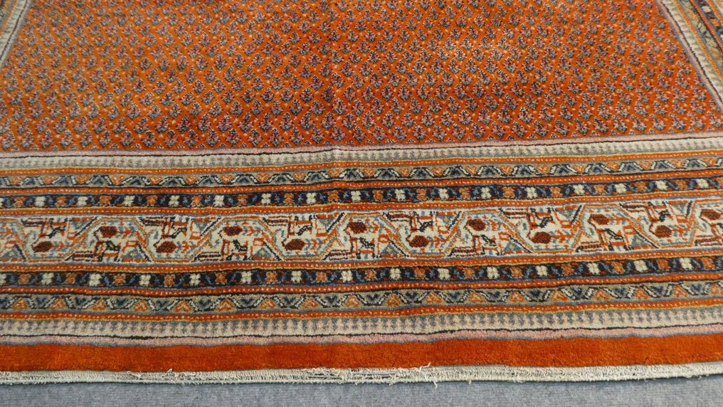 薩魯我 伊朗 - 小地毯 - 284 cm - 222 cm #2.2