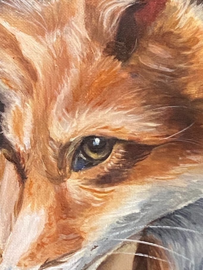 dambr - Fox eyes #2.1
