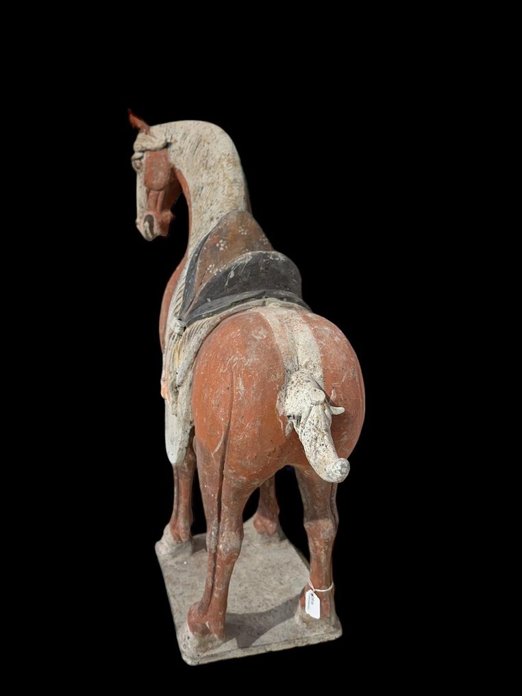 Oud Chinees, Tang-dynastie Terracotta Groot paard met QED TL-TEST - 62 cm #3.2