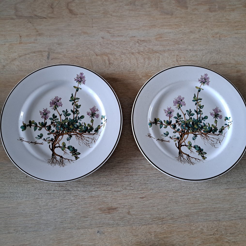 Villeroy & Boch - Conjunto de pequeno-almoço (25) - Botanica *  25 stuk - Porcelana Vitro #1.2