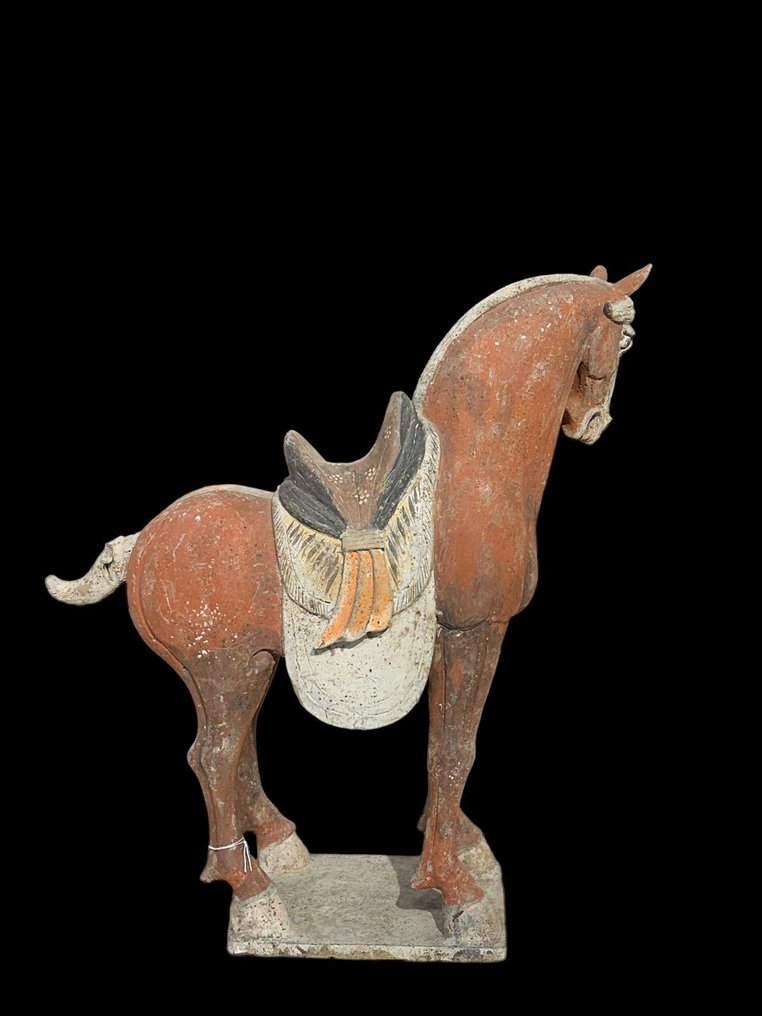 Oud Chinees, Tang-dynastie Terracotta Groot paard met QED TL-TEST - 62 cm #2.2