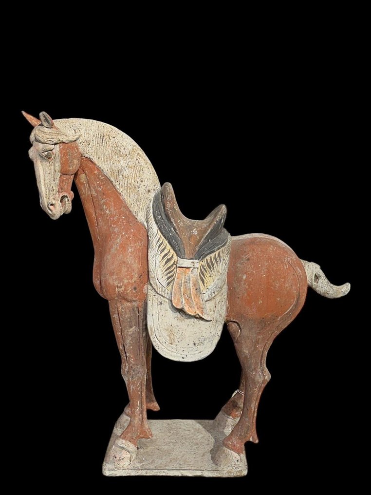 Oud Chinees, Tang-dynastie Terracotta Groot paard met QED TL-TEST - 62 cm #2.1