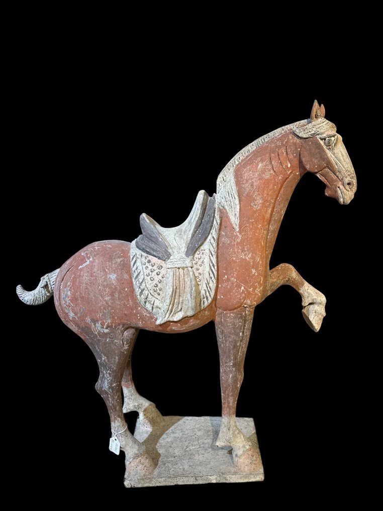 Forntida kinesisk, Tangdynastin Terrakotta Stor häst med QED TL TEST - 63 cm #1.1