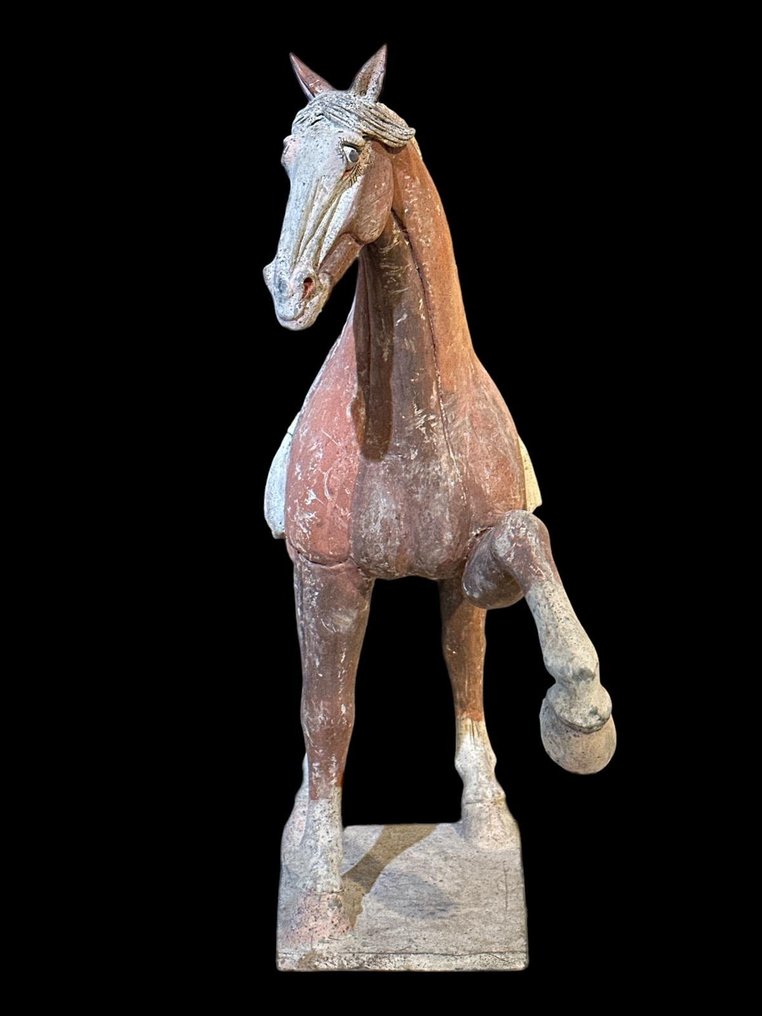 Muinainen Kiina, Tang-dynastia Terrakotta Iso hevonen QED TL TESTillä - 63 cm #2.1
