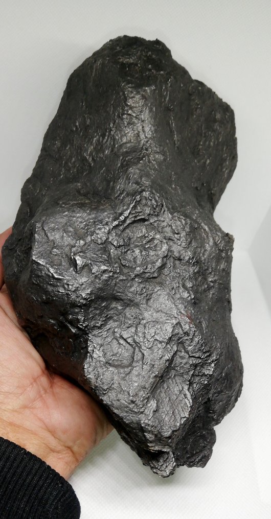 Hermoso meteorito de Saint Aubin, FRANCÉS. Meteorito de hierro - 8.69 kg #1.1