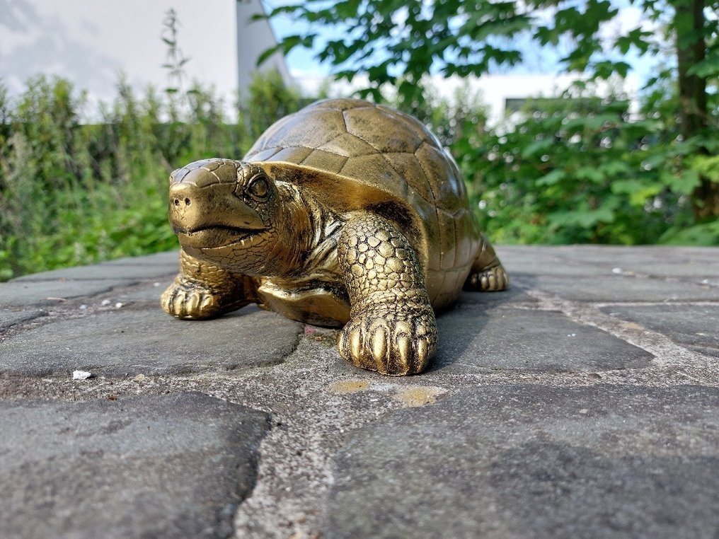 Staty, beautiful turtle in gold patina bronze color - 14 cm - polyharts #3.2