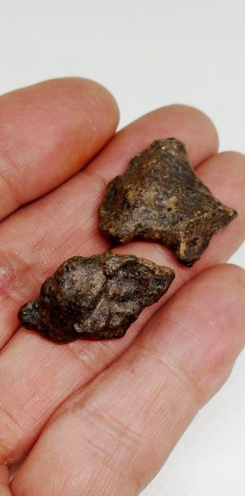 AMGALA 001 Achondrite Meteorit Marsi Sergottit. 2 komplett szoba. 1 Orientált. Akondrit meteorit - 11.43 g #1.1