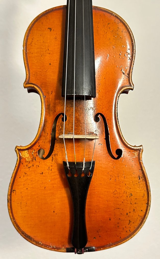 Labeled Selva Giuseppe 1951 - 1/4 -  - Violin #1.1