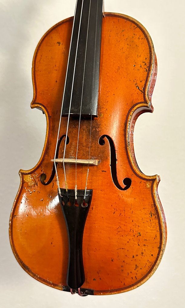 Labeled Selva Giuseppe 1951 - 1/4 -  - Violin #1.2