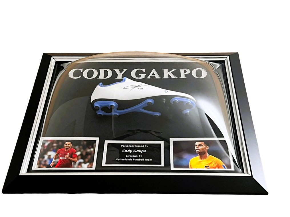 Liverpool / Netherlands - Coupe du Monde de Football - Cody Gakpo - Football #1.1