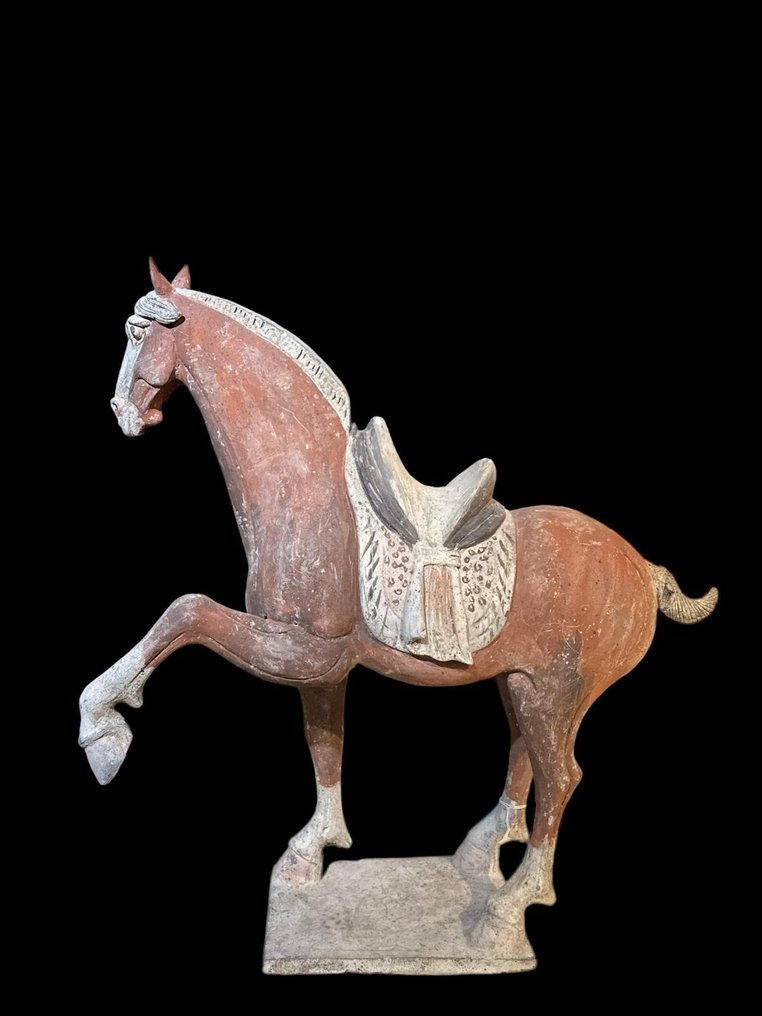 Oldtidens Kina, Tang-dynastiet Terrakotta Stor hest med QED TL TEST - 63 cm #1.2