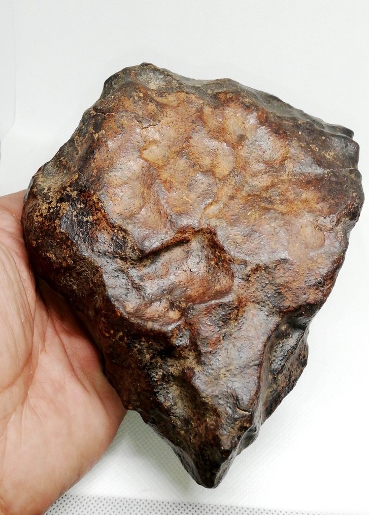 宏偉的 NWA 球粒隕石 100% 完整，未分級。 球粒隕石 - 1.79 kg - (1) #2.1