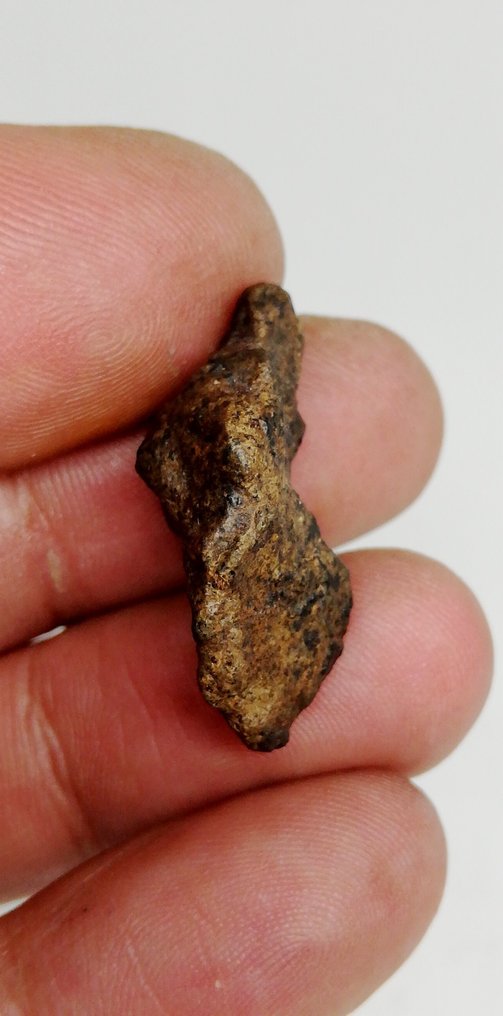 AMGALA 001 Akkondrit Meteorit Mars Shergottite. 2 komplette værelser. 1 orienteret. Akondrit - 11.43 g #2.1