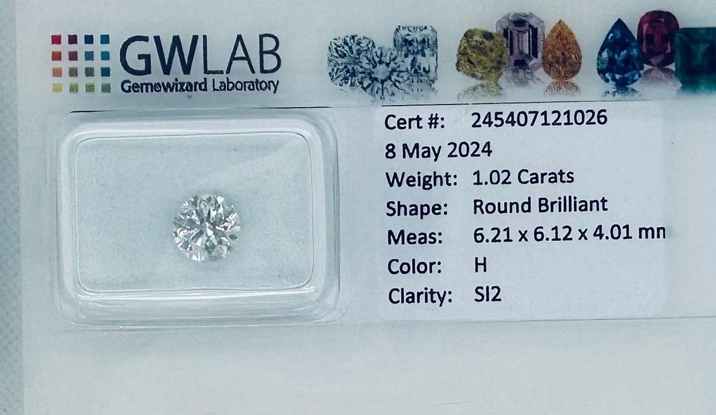1 pcs Diamant  (Natur)  - 1.02 ct - Rund - H - SI2 - Gemewizard Gemological Laboratory (GWLab) #3.2