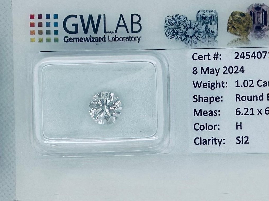 1 pcs Diamant  (Natur)  - 1.02 ct - Rund - H - SI2 - Gemewizard Gemological Laboratory (GWLab) #1.1