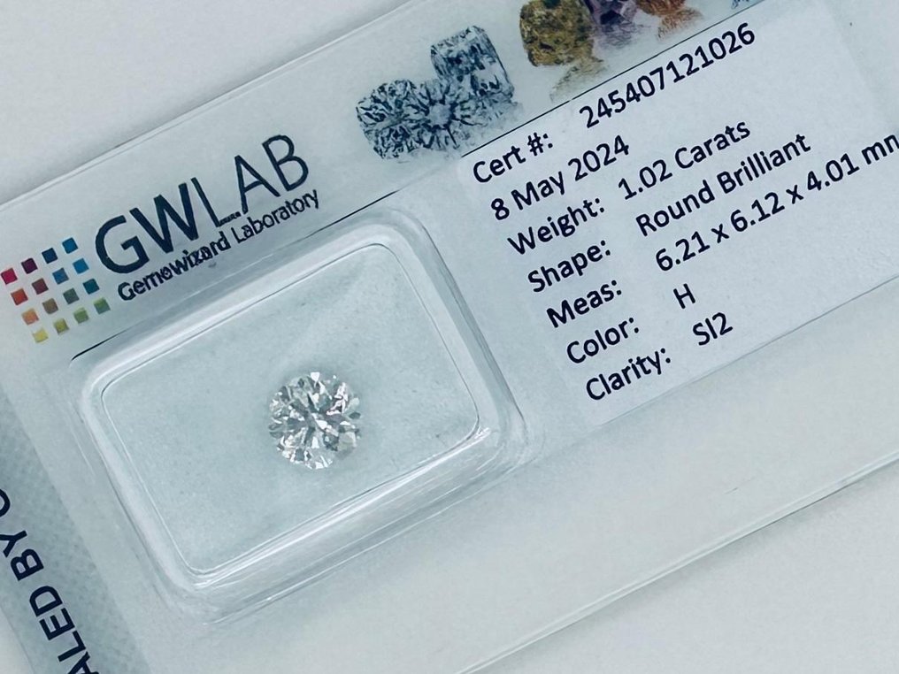 1 pcs Diamant  (Natur)  - 1.02 ct - Rund - H - SI2 - Gemewizard Gemological Laboratory (GWLab) #2.2