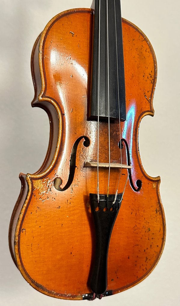Labeled Selva Giuseppe 1951 - 1/4 -  - Violin #2.1