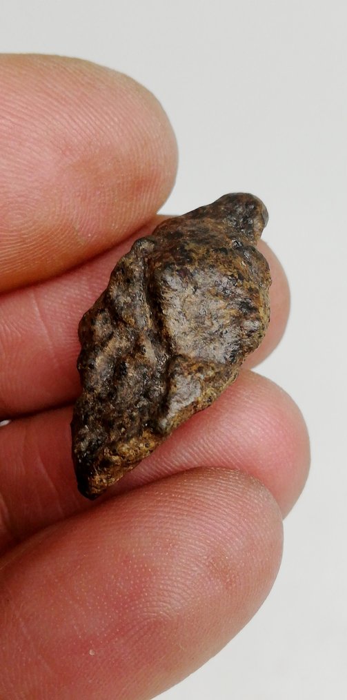 AMGALA 001 Achondrite Meteorit Marsi Sergottit. 2 komplett szoba. 1 Orientált. Akondrit meteorit - 11.43 g #1.2