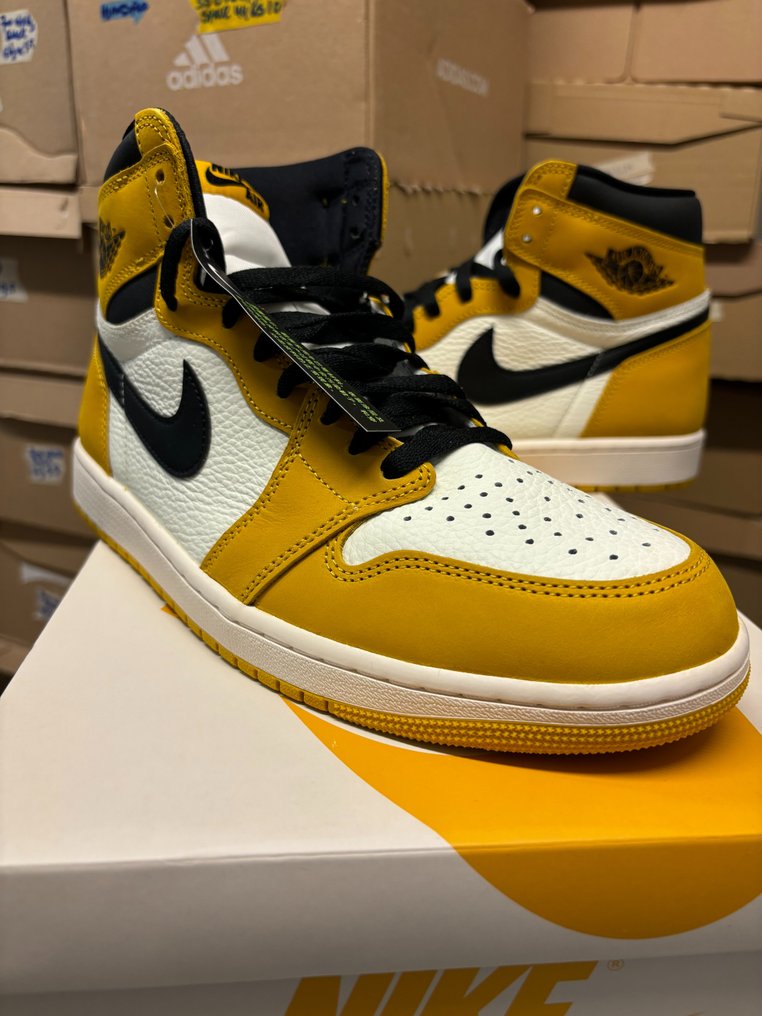 Nike 45.5 in us hot sale