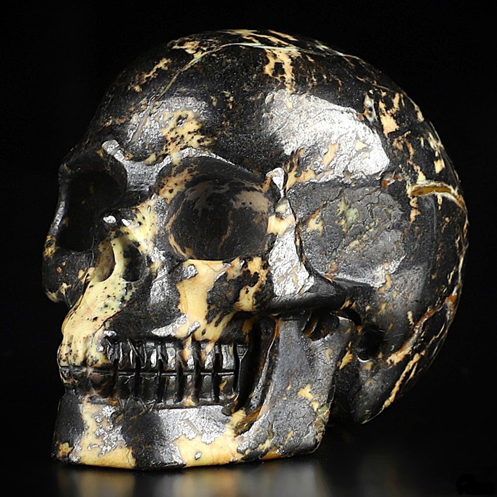 Incredibile Hiso Jasper Teschio - Hand Carved Skull Free Shipping - 40 mm - 35 mm - 50 mm #1.1