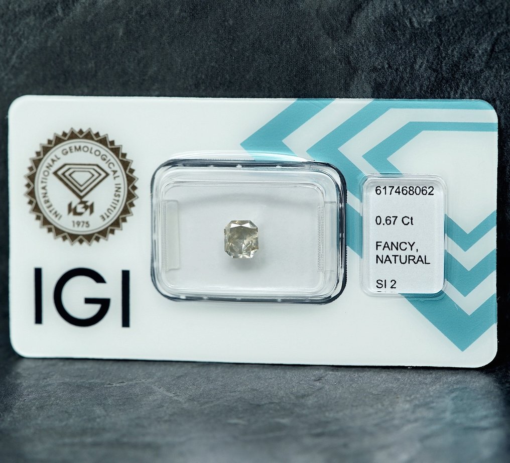 1 pcs Diamant  (Couleur naturelle)  - 0.67 ct - Fancy light Grisâtre Jaune - SI2 - International Gemological Institute (IGI) #1.2