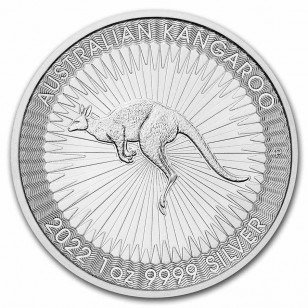 澳大利亚. 250 x 1 oz 2022 $1 AUD Australian Silver Kangaroo Coin in Monster Box #1.2