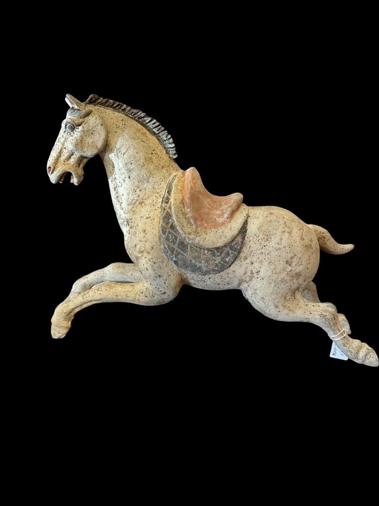 Det gamle Kina, Tang-dynastiet Terrakotta TANG Horse - Termoluminescens QED LABORATOIRE - 23 cm #3.1