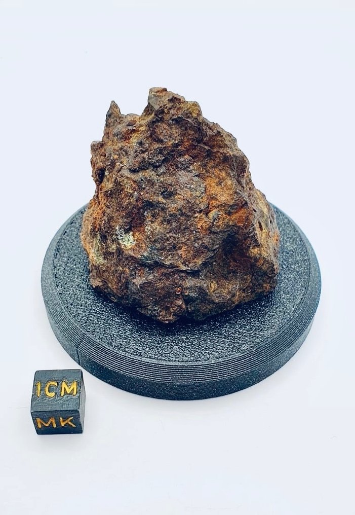 塞里乔陨石 碳质球粒陨石 - 高度: 50 mm - 宽度: 45 mm - 100 g - (1) #2.1