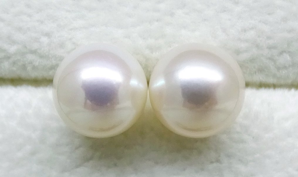 Sans Prix de Réserve - Boucles d'oreilles - 18 carats Or blanc Perle - Perle Akoya Ronde 8,5-9mm #1.1