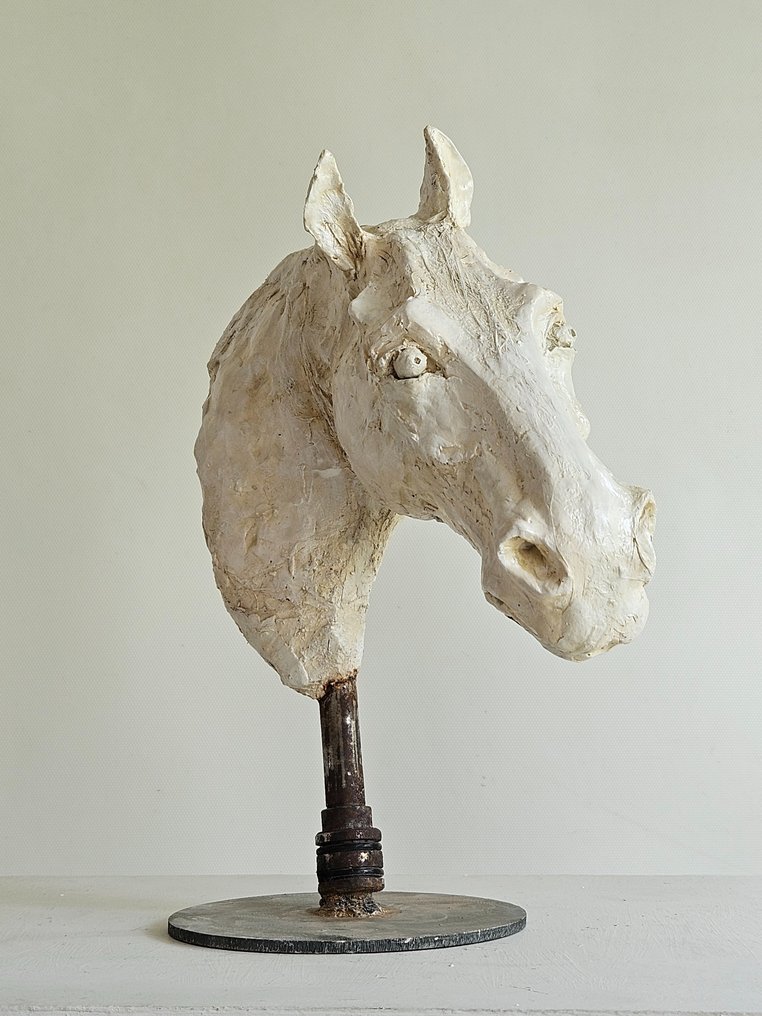 Raghad - Une tête de cheval #2.1