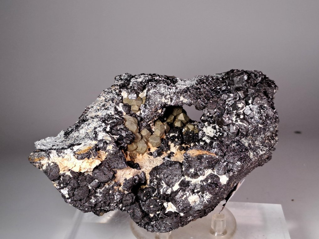 Pyrite Magnétite Cristaux sur matrice - Hauteur : 11 cm - Largeur : 7 cm- 534 g #2.1