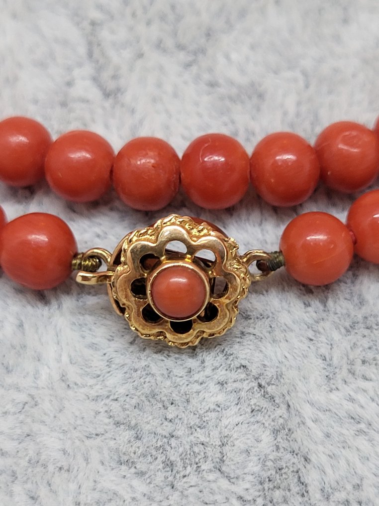 Necklace Red coral necklace with large 14 carat gold clasp Blood Coral #1.2