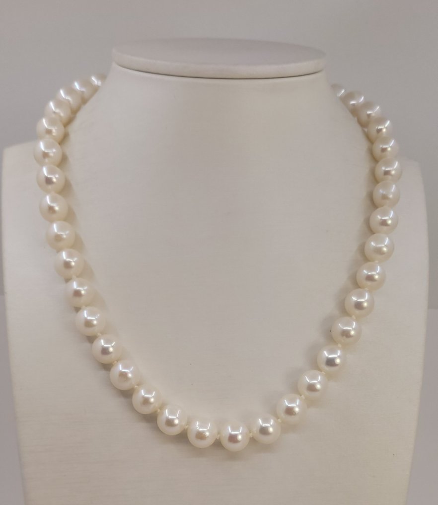 没有保留价 - 项链 10x11mm 圆形白色爱迪生珍珠 #1.2