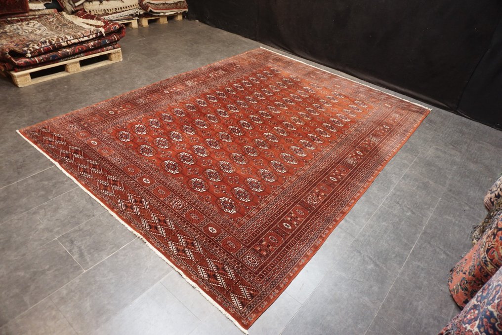 布哈拉装饰艺术 - 地毯 - 335 cm - 248 cm #2.1