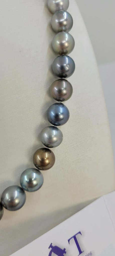 Collar Perlas de Tahití multiredondas con certificación ALGT - 10,0x13,2 mm #2.1
