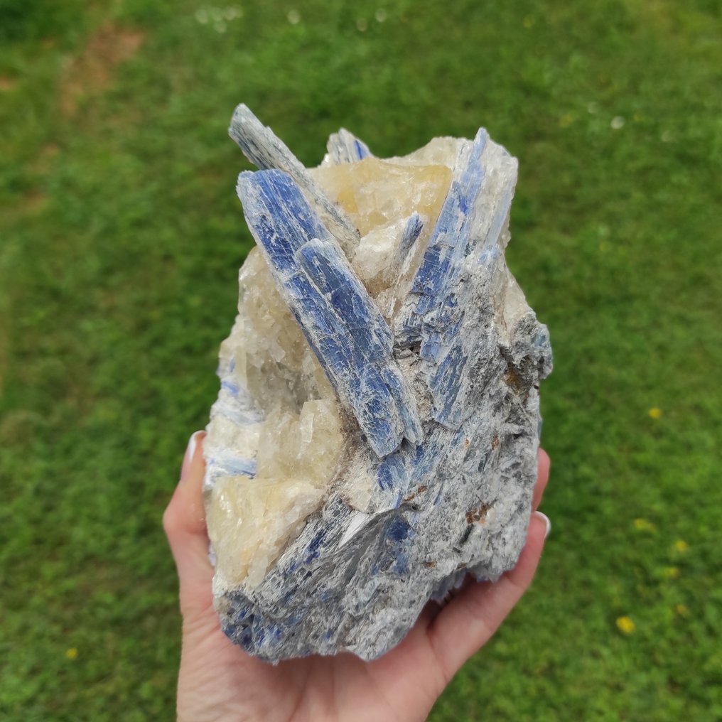 Blue kyanite Crystals on matrix - Height: 16 cm - Width: 10 cm- 1260 g - (1) #1.2