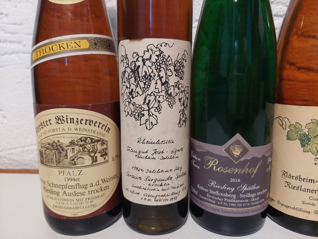 Dry and Off-dry Wine Lot: 1985 x3, 1993, 1994, 1995 Auslese & 4x 1992, 1996, 2018 x2 Spätlese - Badén, Mosela, Pfalz, Rheinhessen - 10 Botellas (0,75 L) #2.1