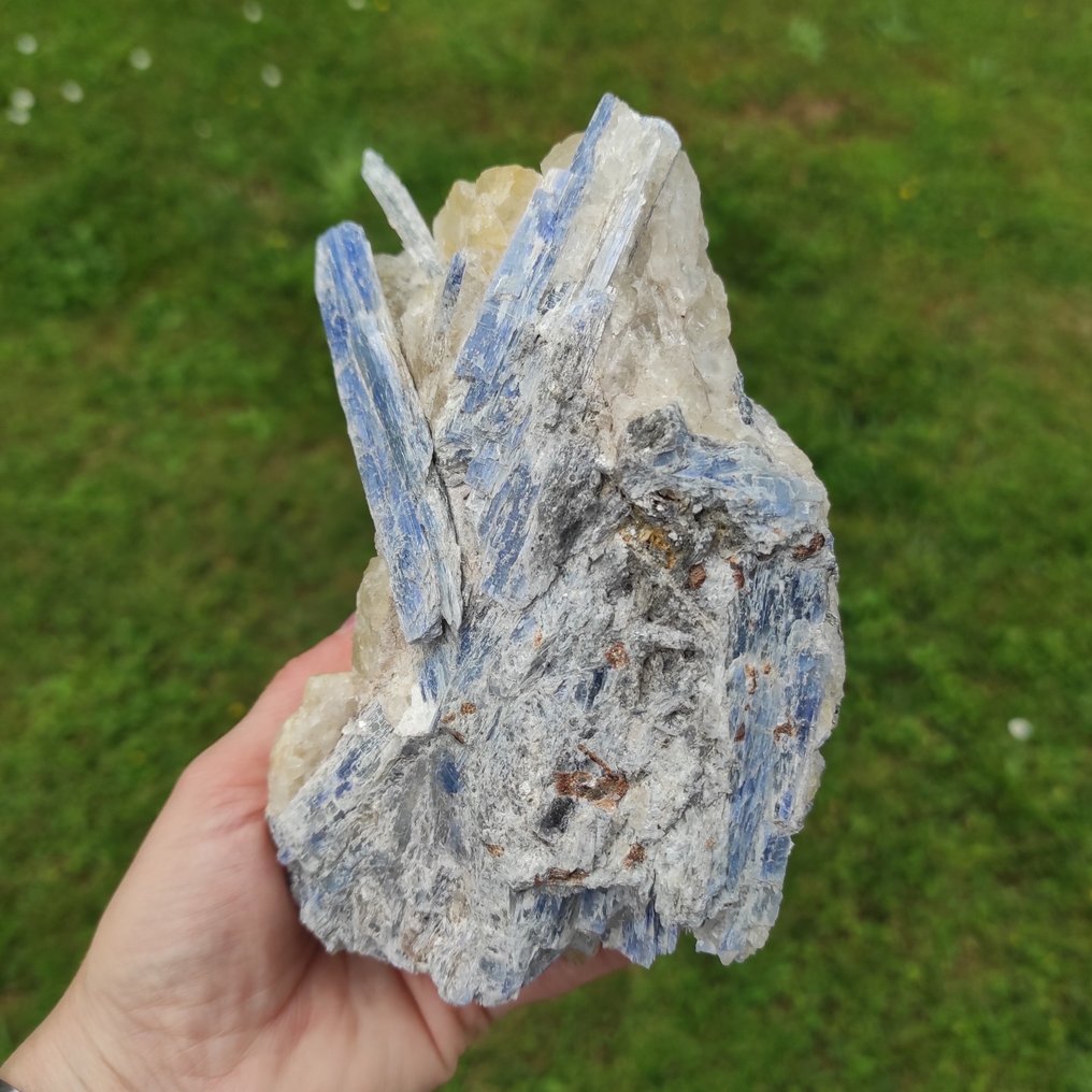 Blue kyanite Crystals on matrix - Height: 16 cm - Width: 10 cm- 1260 g - (1) #2.1