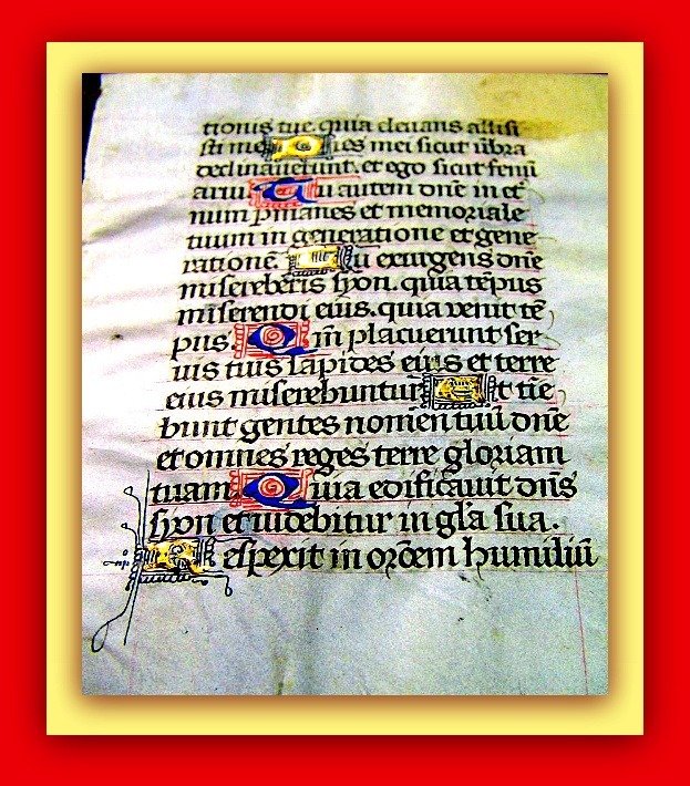 Mönchs-Handschrift, Skriptor, Mittelalterliches Scriptorium - Totenoffizium, Pergament, 14 Initialien mit goldenen & blauen Federwerk, Frankreich - 1380 #1.2