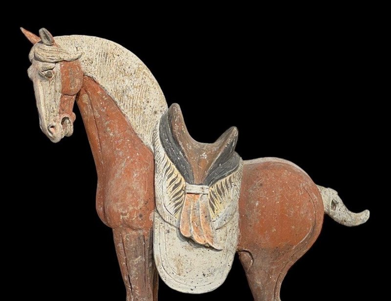 Oud Chinees, Tang-dynastie Terracotta Groot paard met QED TL-TEST - 62 cm #1.1