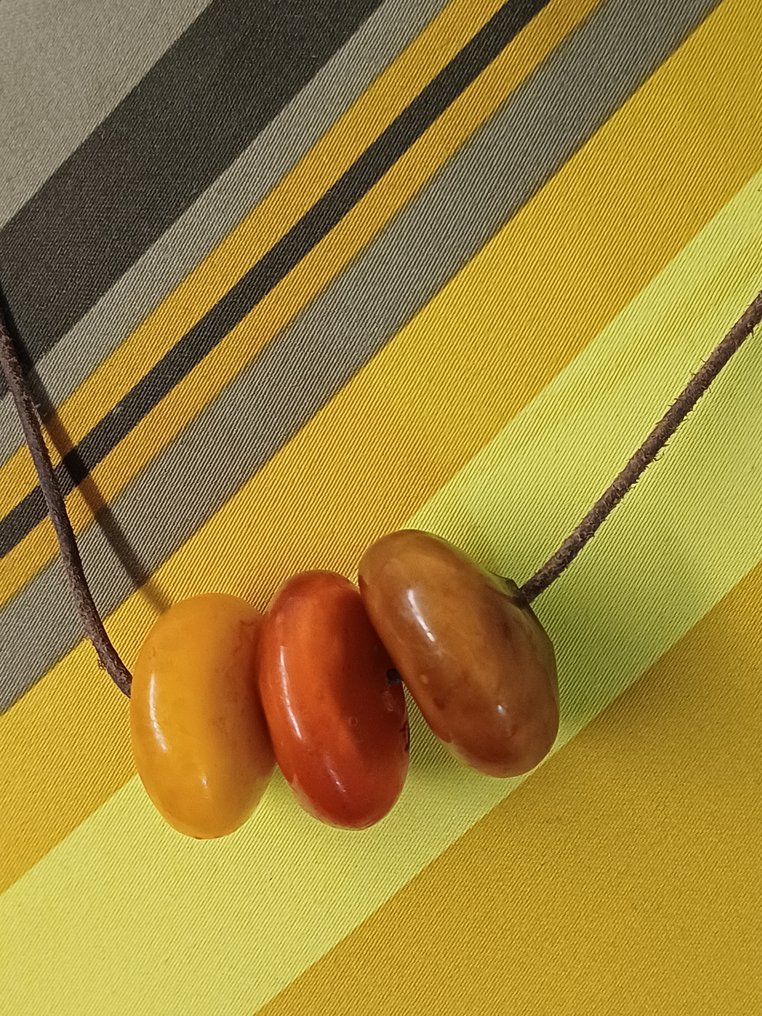 Balti borostyán - Fosszilizálódott növény (Nincs minimálár) #1.0