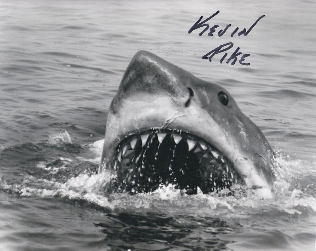 大白鲨 - Signed by Kevin Pike (S/F/X) #2.1