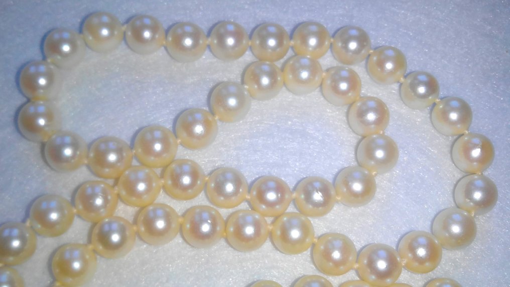 Ingen reservasjonspris - Halskjede 14 kt gult gull - Akoya perler - diamanter #3.3