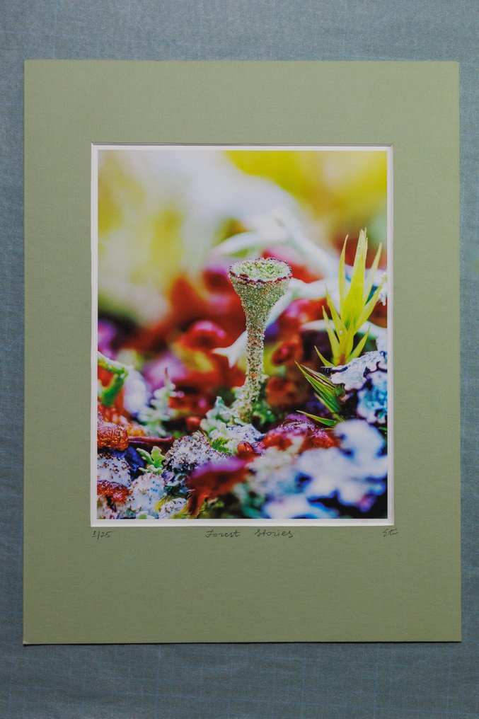 Inna Etuvgi - Forest Stories - matted #2.1