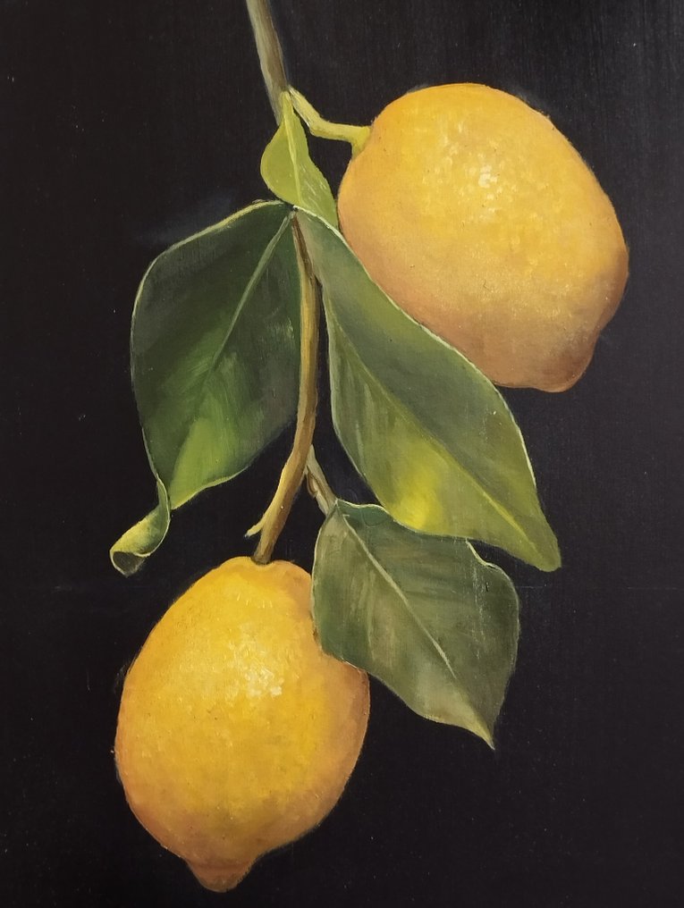 Franco Bencivenga (1953) - Limoni con foglie #1.1