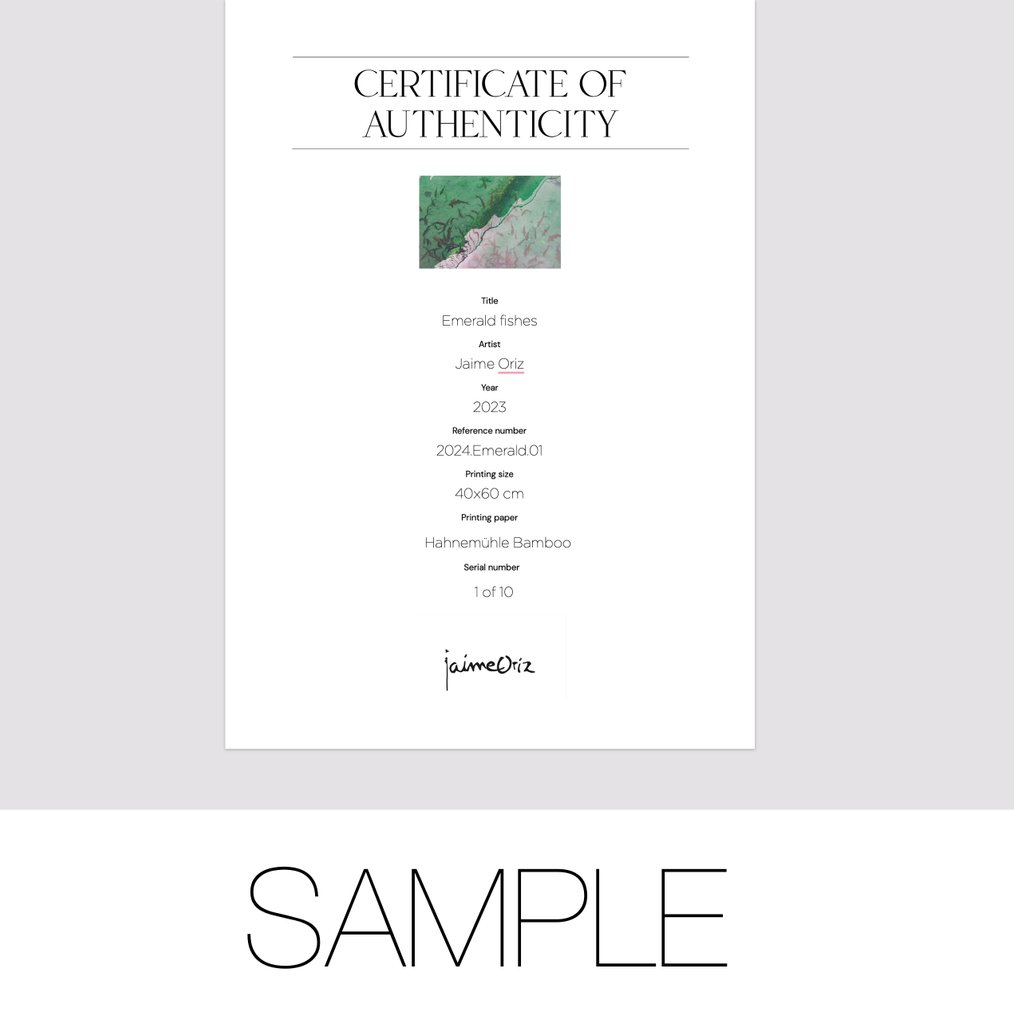 Jaime Oriz - Cosmology #4.3