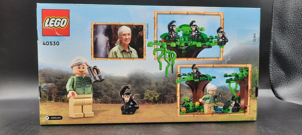 Lego - Promotional - 40530 - Tributo a Jane Goodall - 2020 et après #2.1