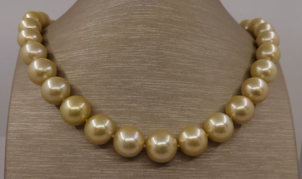 Halsband PSL-certifierade gyllene sydhavspärlor - enorm storlek 12,0x15,9 mm #1.1