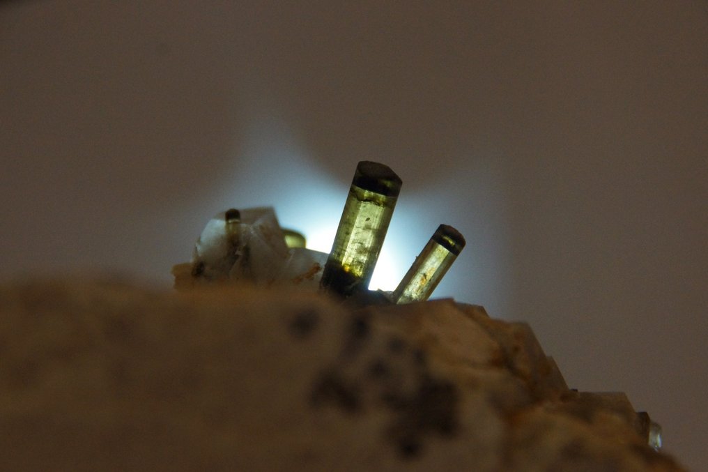 Tourmaline Crystals on matrix - Height: 9 cm - Width: 8 cm- 600 g - (1) #1.0