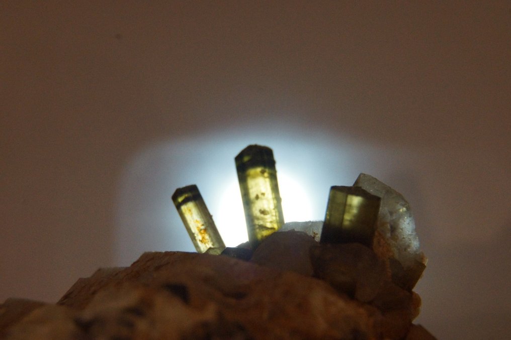 Tourmaline Crystals on matrix - Height: 9 cm - Width: 8 cm- 600 g - (1) #1.0